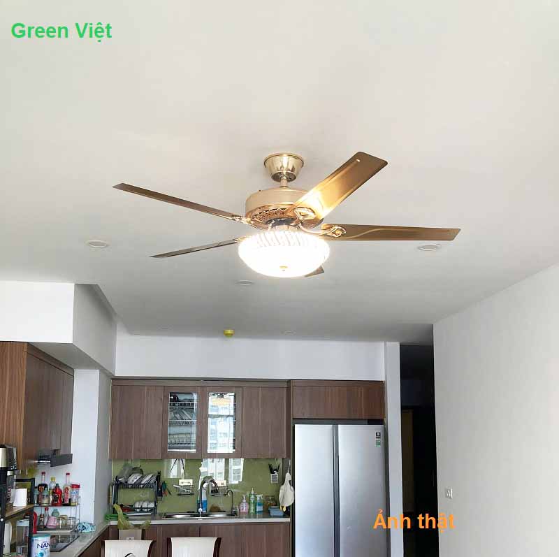 quạt trần đèn quat-tran-den-5-canh-sat-dq-ct-107