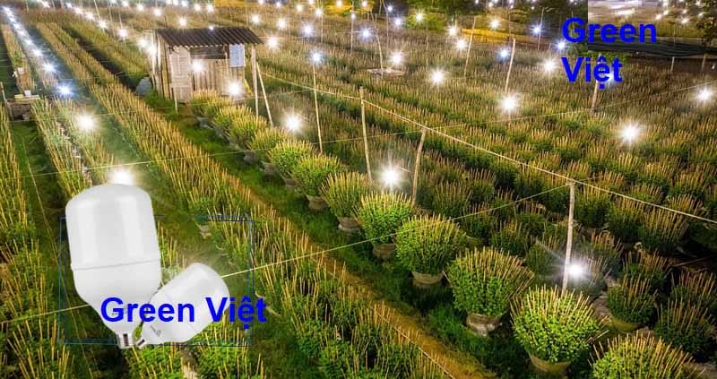 den-led-bup-cong-suat-10w-15w-20w-30w-50w-100w