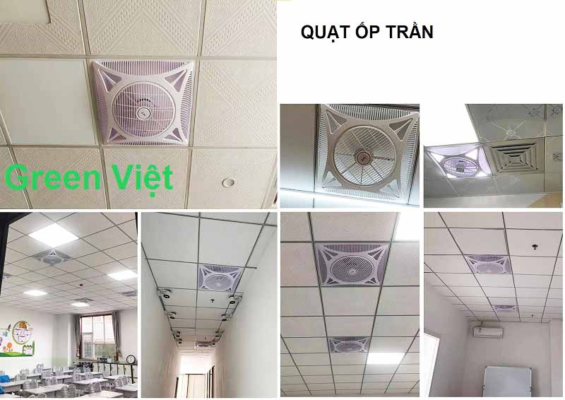 quat-op-tran-taizhi-tfg-16
