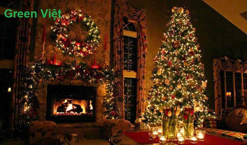 cay-thong-noel-trang-tri-bong-led-dep-re