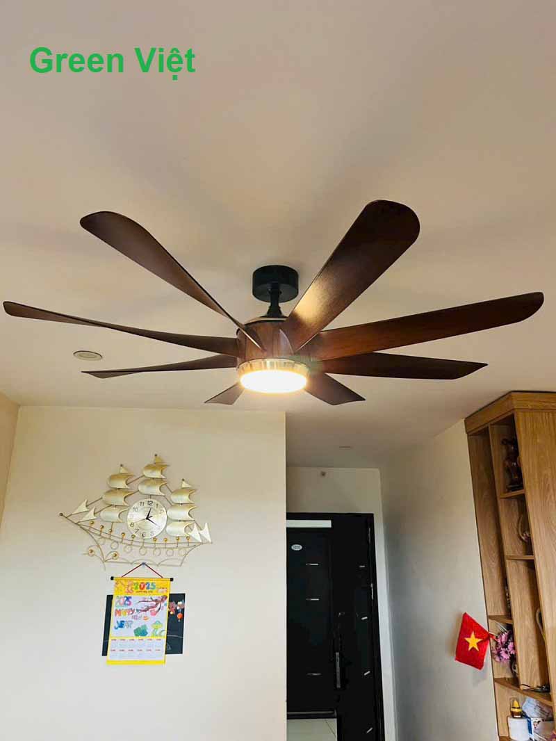 Quạt trần đèn  quat-tran-den-qtdv82-cao-cap