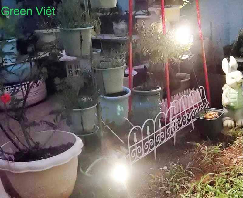 Đèn Rọi Cây Năng Lượng Mặt Trời