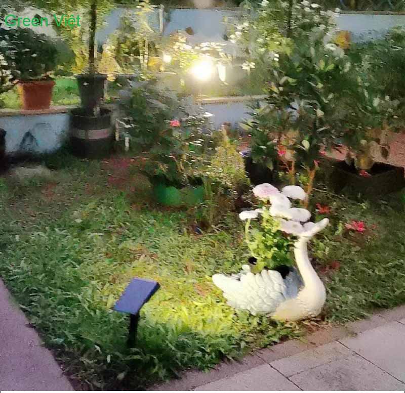 Đèn Rọi Cây Năng Lượng Mặt Trời