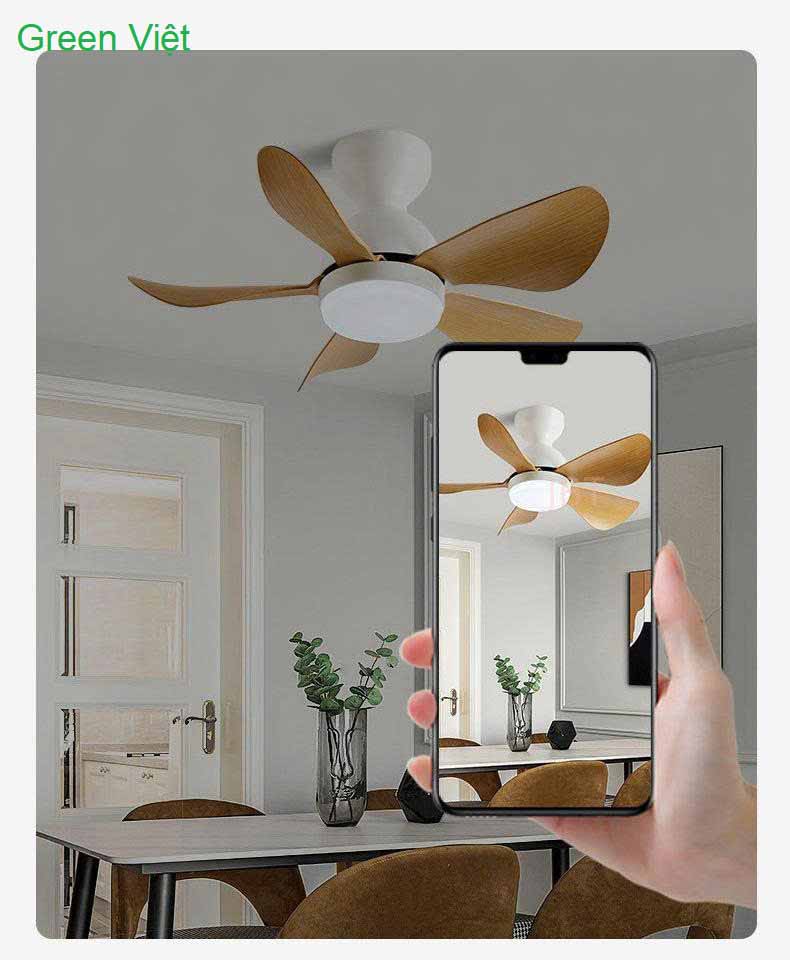 Quạt Trần Đèn TRONG