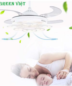 quat-tran-canh-cup-canh-xoa-ccx03