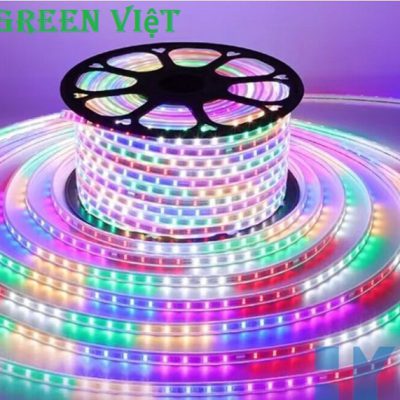 cuon-led-trang-tri-day-doi-2835-5730-100m-2-hang-led-doi