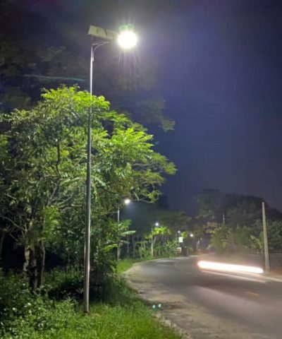 den-led-nang-luong-mat-troi-rang-dong