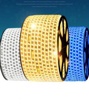 cuon-led-trang-tri-day-doi-2835-5730-100m-2-hang-led-doi