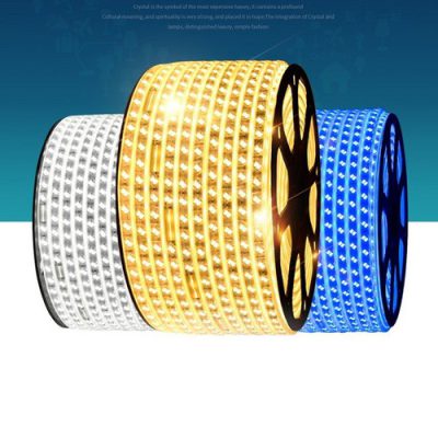 cuon-led-trang-tri-day-doi-2835-5730-100m-2-hang-led-doi