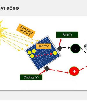 cau-tao-va-hoat-dong-den-duong-led-nang-luong-mat-troi-cao-cap-green-viet