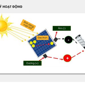 den-duong-nang-luong-mat-troi-50w-den-du-an-solar-light-50w-1