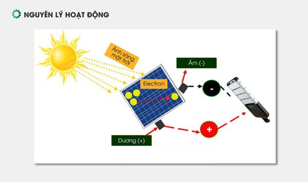 den-duong-nang-luong-mat-troi-50w-den-du-an-solar-light-50w-1