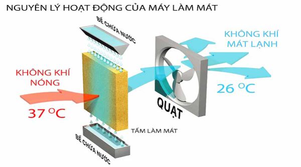 quat-dieu-hoa-hoi-nuoc-45lit-quat-giam-nhiet-dhhn-02