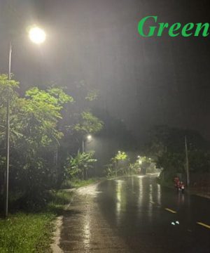 den-duong-nang-luong-mat-troi-cao-cap-100w-nang-lap-san-solar-light-l100w-mn