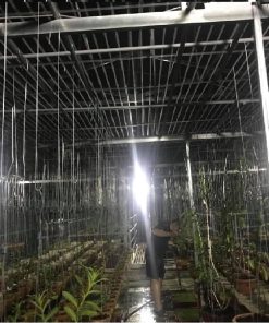 den-nang-luong-mat-troi-sieu-sang-100w-den-cao-cap-100-6k