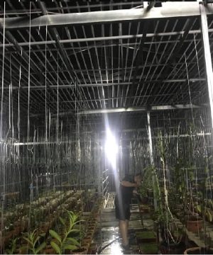 den-nang-luong-mat-troi-sieu-sang-100w-den-cao-cap-100-6k