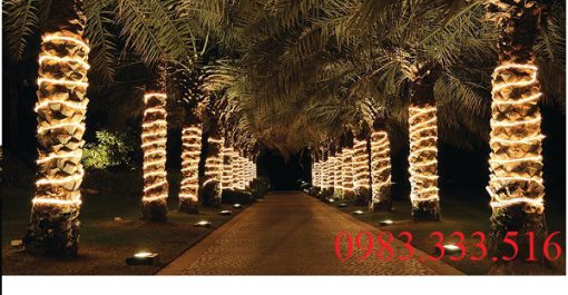 led-duc-nhieu-mau-100m-trang-tri-quan-cay-noel-va-tet