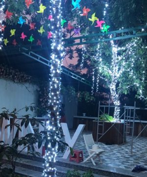 day-den-trang-tri-led-duc-f5-quan-cay-va-trang-tri