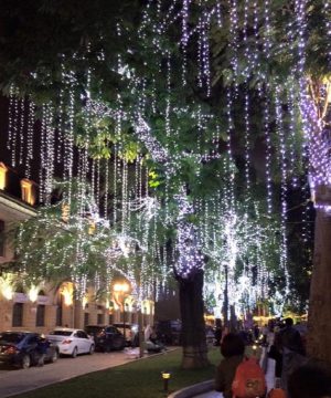 day-den-trang-tri-led-duc-f5-quan-cay-va-trang-tri