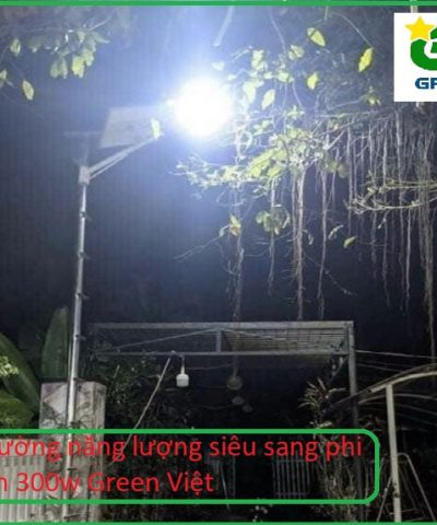 den-duong-nang-luong-mat-troi-phi-thuyen-300w-dpt01