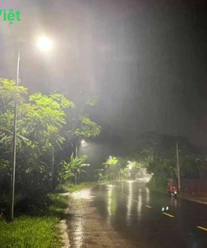 den-duong-nang-luong-mat-troi-chiec-la-100w-den-lap-duong-solar-light-l100w