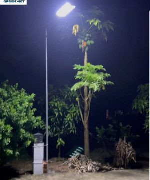 do-sang-den-duong-nang-luong-mat-troi-tam-pin-lien-500w-lt500