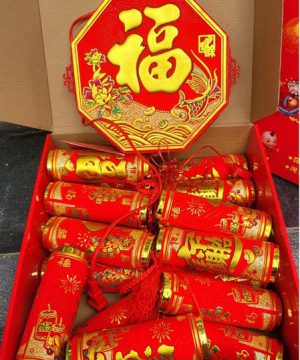 day-phao-dien-tu-loai-lon-co-remote-dieu-khien-tu-xa-p01