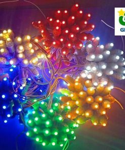 den-led-duc-f5-quan-cay-12v-ledt05