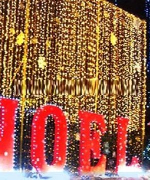 led-trang-tri-cay-noel-manh-thac-nuoc-lmtt021