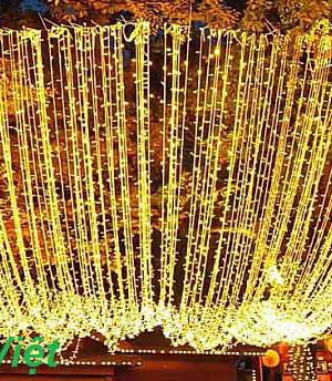 led-trang-tri-noel-va-tet-ltt-2023