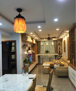 quat-canh-cup-canh-xoe-qtx-55-nhap-khau