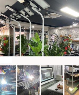 den-duong-nang-luong-mat-troi-300w-jd-z300 (1)