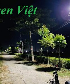 den-nang-luong-mat-troi-500w-dsv-500w-chieu-sang-duong-di-va-san-vuon