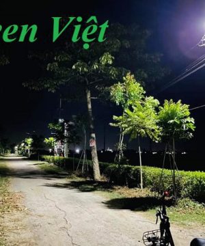 den-nang-luong-mat-troi-500w-dsv-500w-chieu-sang-duong-di-va-san-vuon