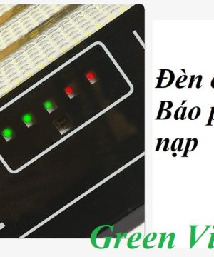 den-nang-luong-mat-troi-dpnl-100w-mau-moi-gan-tuong-san-vuon
