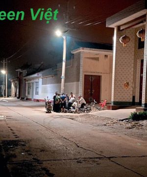 den-nang-luong-mat-troi-dsv-71-chieu-sang-duong-di-va-san-vuon-500w