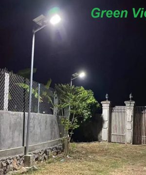 den-nang-luong-mat-troi-dsv-71-chieu-sang-duong-di-va-san-vuon-500w