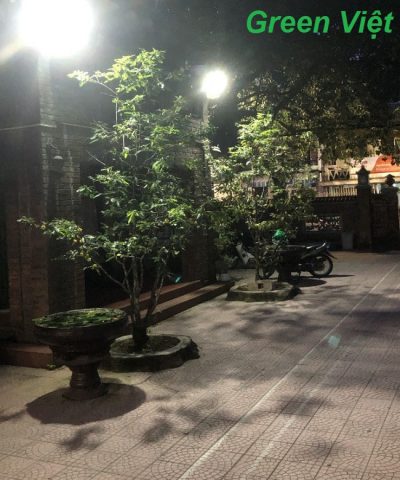 den-nang-luong-mat-troi-cao-cap-200w-dcc11-23-chieu-sang-san-vuon-duong