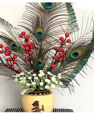 y-nghia-long-cong-trong-phong-thuy-la-nhu-nao