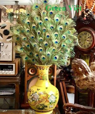 y-nghia-long-cong-trong-phong-thuy-la-nhu-nao