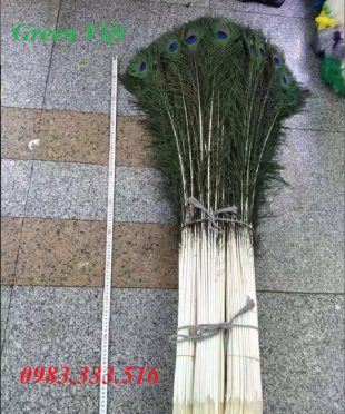 y-nghia-long-cong-trong-phong-thuy-la-nhu-nao