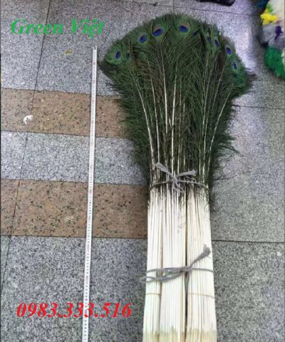 y-nghia-long-cong-trong-phong-thuy-la-nhu-nao