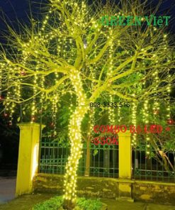 combo-led-trang-tri-quan-cay-ngoai-troi-f5-lf5-chong-nuoc