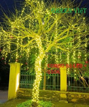 combo-led-trang-tri-quan-cay-ngoai-troi-f5-lf5-chong-nuoc
