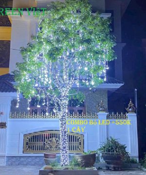 combo-led-trang-tri-quan-cay-ngoai-troi-f5-lf5-chong-nuoc