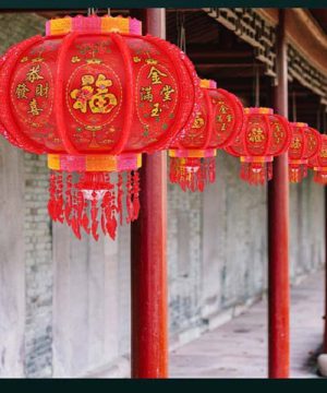 den-long-trang-tri-pl05-nhap-nhay-va-xoay-360-do
