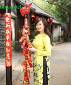 phao-hoa-dien-co-tieng-no-phd-02