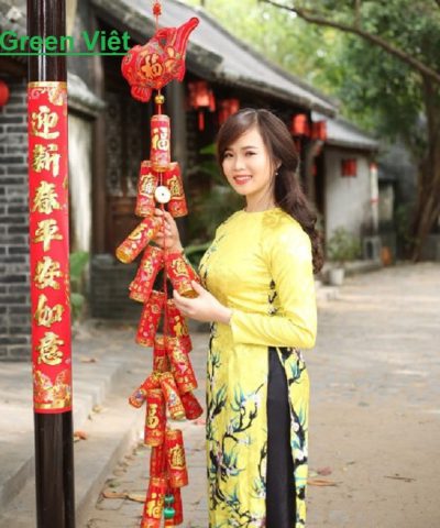 phao-hoa-dien-co-tieng-no-phd-02