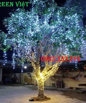 den-led-duc-f5-quan-cay-12v-ledt05
