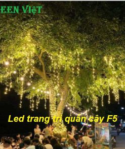 day-den-led-trang-tri-quan-cay-ngoai-troi-f5-lf05